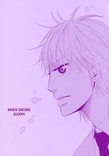When Sakura Bloom