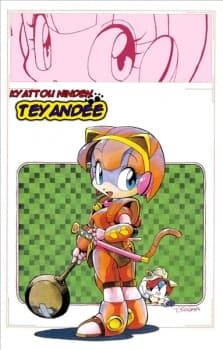 Kyattou Ninden Teyandee