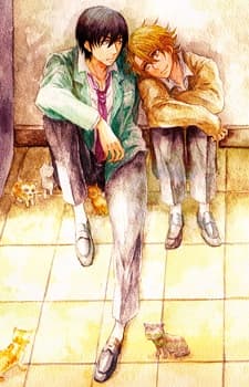 Shinjitsu no Kimi o Tsukamaetai - Of Montage