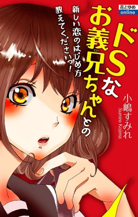 Do-S na Onii-chan to Tanoshii Koi no Hajimekata Oshite Kudasai!