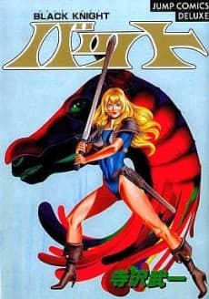 Black Knight Bat