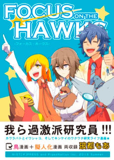FOCUS ON THE HAWKS