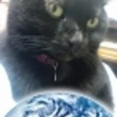 Rie Suganuma