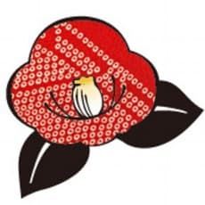 Imeri Tsubakino