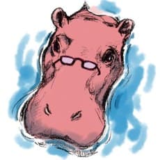 Hippo  Asami