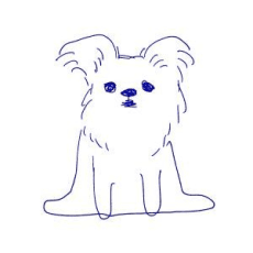Ama Mizui