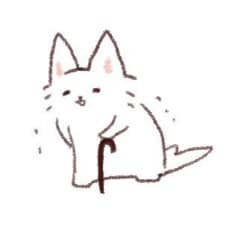 SHIN