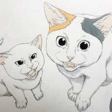 Nigotaro
