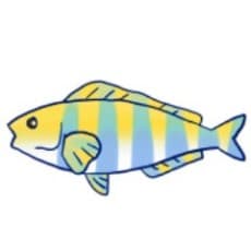 Hokke Shima