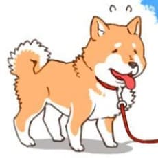 Fumi Itou