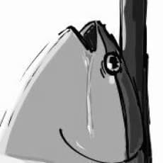 Gyorui