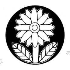 Kenji Hayakawa