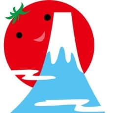 Tomato Fuji
