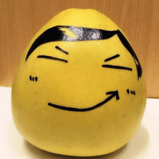 Bai Pi Youzi