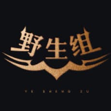 Yesheng Zu