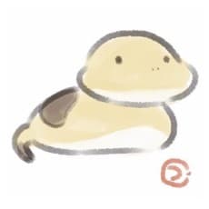 Kiyu Tsuchino