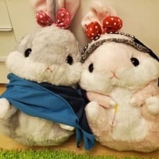 Usagi Nora