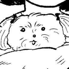 Ayako Hatori