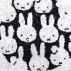 Hui