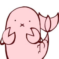 Chima Sakuraebi