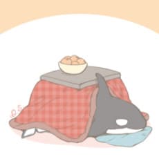 D.S.