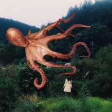 Inako