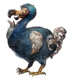 Tomatika