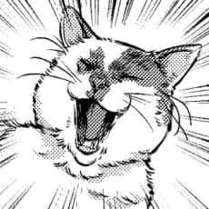 Aoi Yumitori