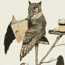 Yokake Asamichi