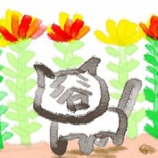 Bisachi Hachiya