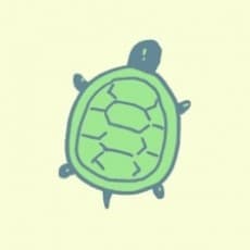 Io