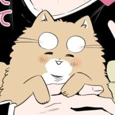 Kisuke