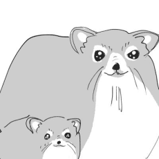 Nyaoponu