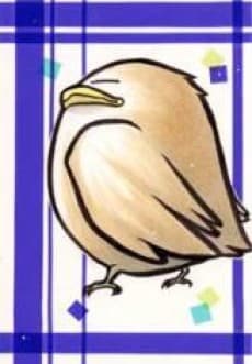 Muku Kakizaki