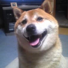 Natsue Ogoshi