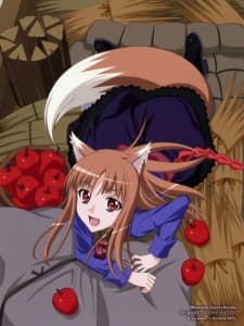 Spice and Wolf II Specials cover