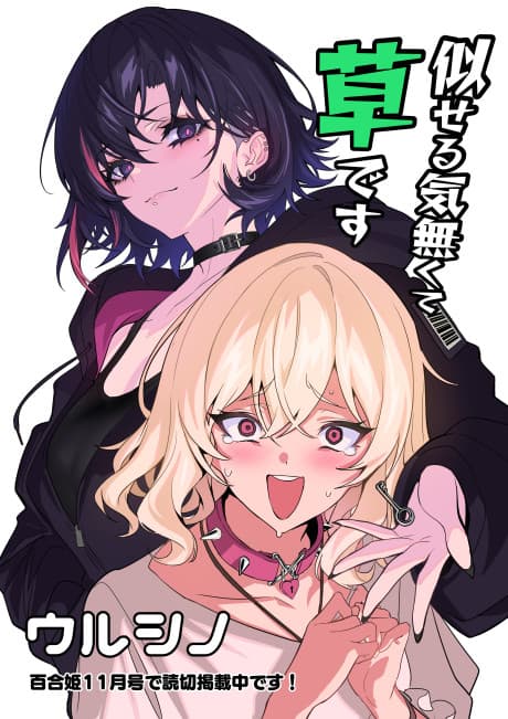 Niseru Ki Nakute Kusadesu