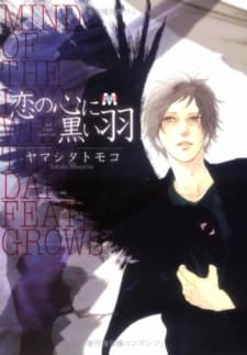Black-Winged Love