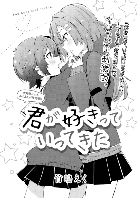 Kimi ga Sukitte Ittekita