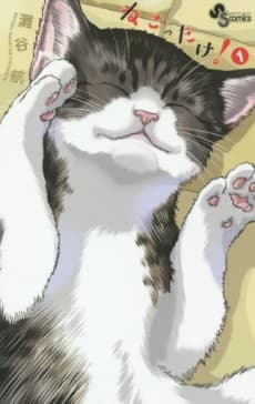 Cat + Crazy