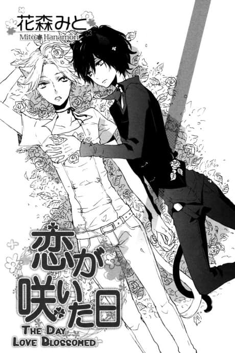 Koi ga Saita Hi