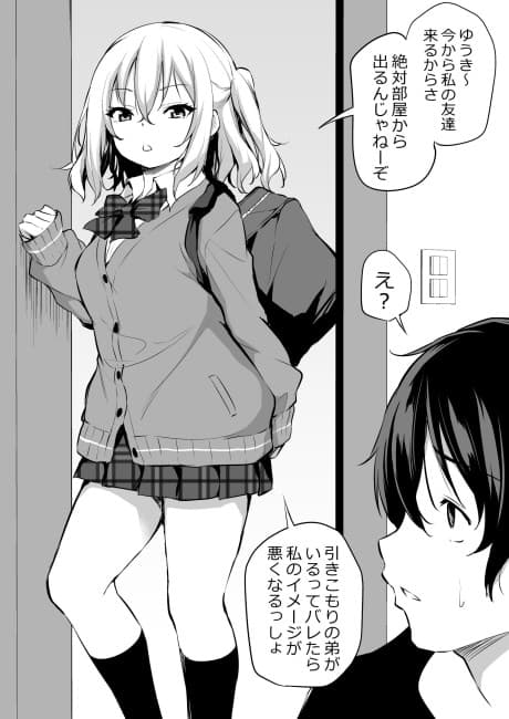 Gal Onee-chan to Hikikomori Otouto