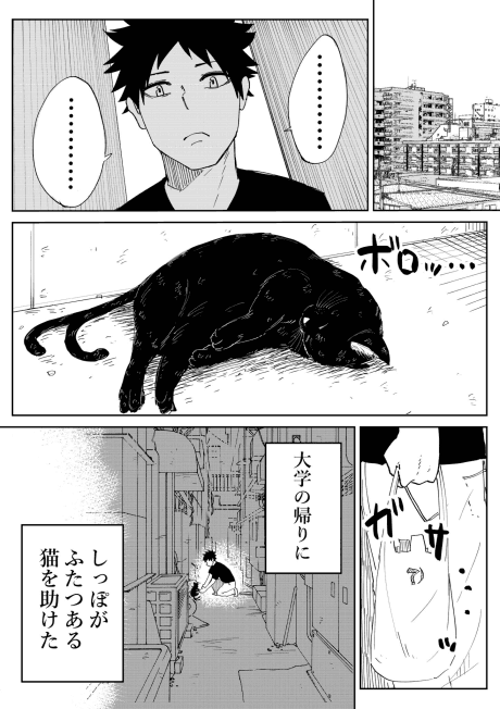 Doushitemo Ningen no Oyome-san ni Naritai Bakeneko no Ohanashi