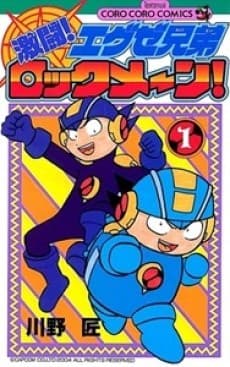 Fierce Fighting! EXE Siblings Mega Man!