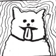 Tokushige Kawakatsu